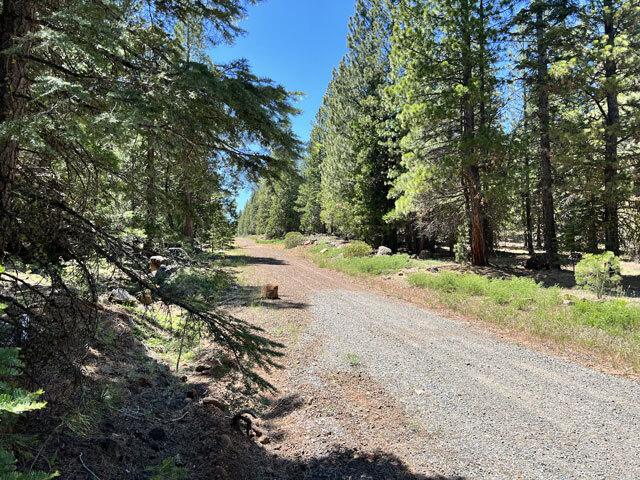 N. California Land for Sale, 0.9 acres, near Alturas
