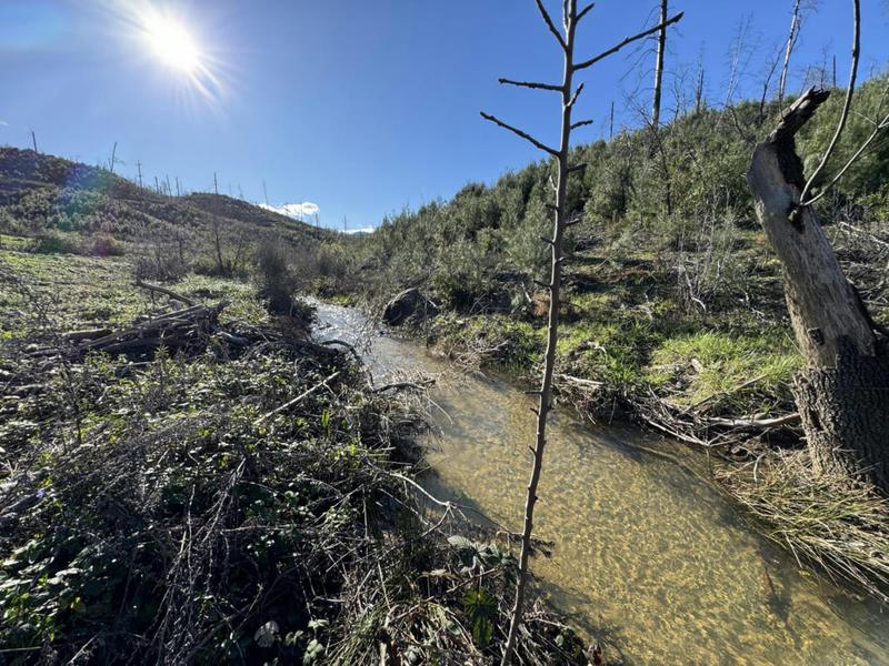 15210 GLENDALE PINES DR, Shasta, CA 96087 Land For Sale  MLS# 24-546