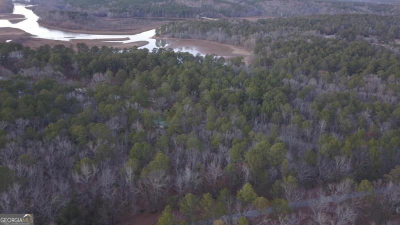 00 W LBK CIRCLE, Tignall, GA 30668 Land For Sale  MLS# 20162878