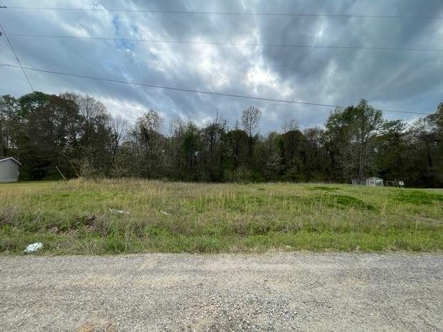 Vicksburg, Warren County, MS Undeveloped Land, Homesites for sale Property ID: 415345213