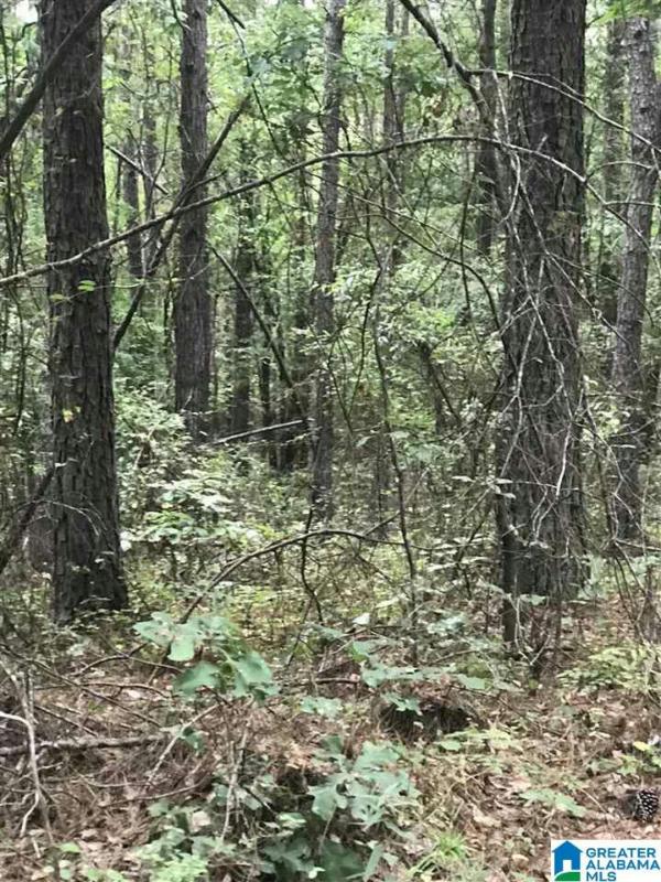0 HIGHWAY 191 # 39, ALPINE, AL 35014 Land For Sale  MLS# 21374532