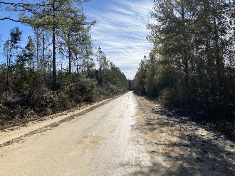 Baker, Okaloosa County, FL Undeveloped Land for sale Property ID: 418685137