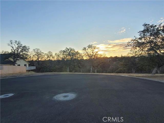 19877 ANTELOPE CREEK DR, Cottonwood, CA 96022 Land For Sale  MLS# SN24024103