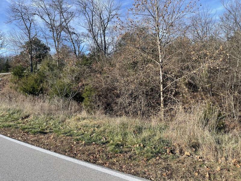 Lot 206 Black Forest Lane, Reeds Spring, MO 65737  611935861 for Sale