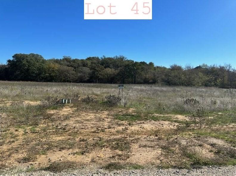 Lot 45 Sportsman Dr, Santo, TX 76067 - MLS 20480666 for Sale