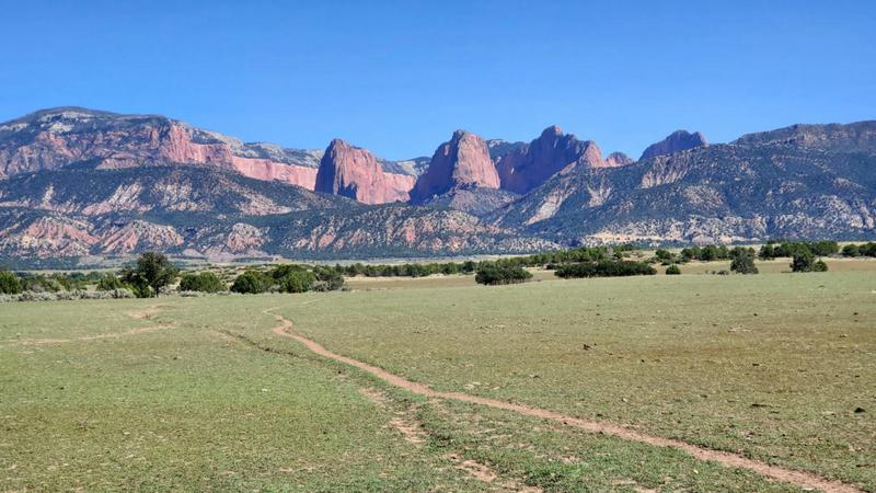 49.75 ACRES OFF HWY 144 # 3094-NS, New Harmony, UT 84757 Land For Sale  MLS# 23-246605