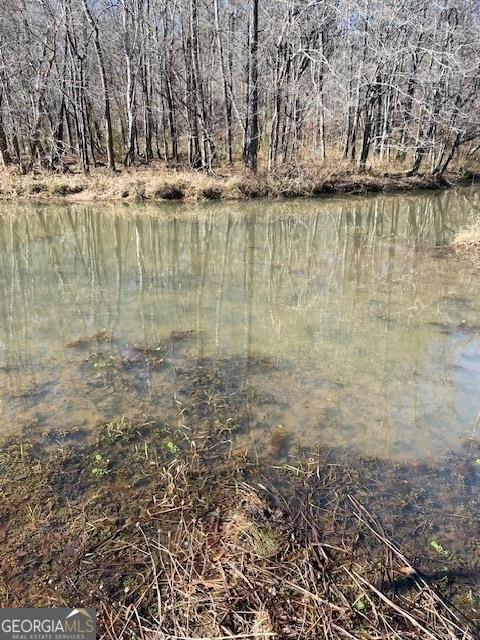 458_460 TWIN BRIDGES ROAD, Eatonton, GA 31024 Manufactured Home For Sale  MLS# 20161918