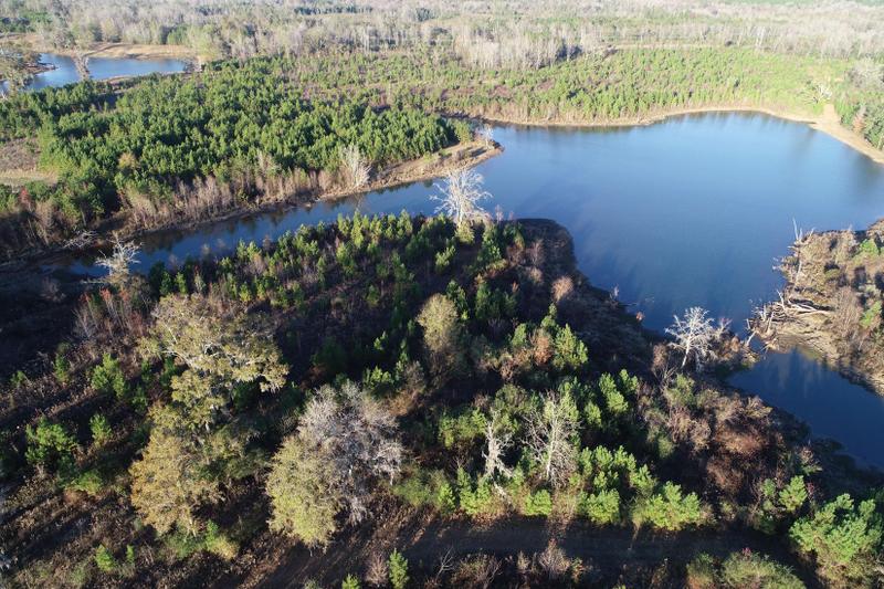 Evergreen, Conecuh County, AL Timberland Property, Undeveloped Land, Hunting Property, House for sale Property ID: 418416896