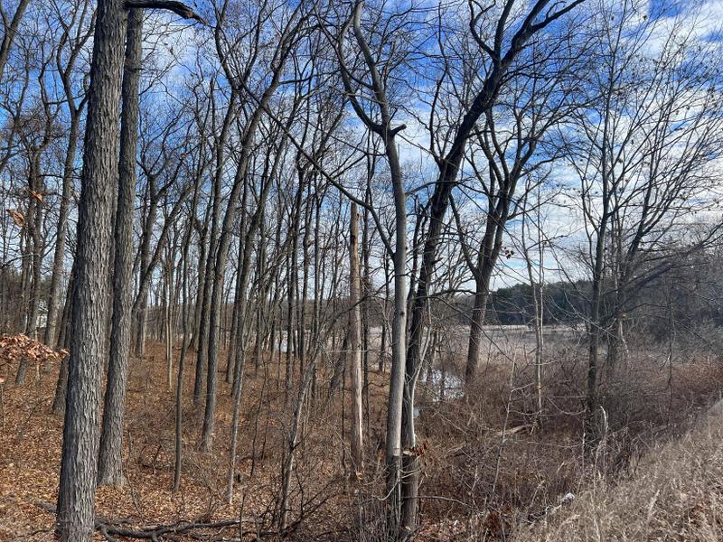 Richland, Kalamazoo County, MI Homesites for sale Property ID: 418496237