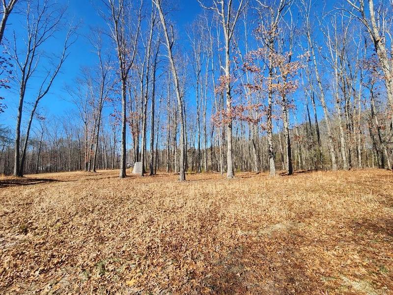 Monterey, Fentress County, TN for sale Property ID: 418871928