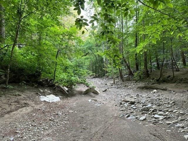 Wilder, Fentress County, TN for sale Property ID: 416641976