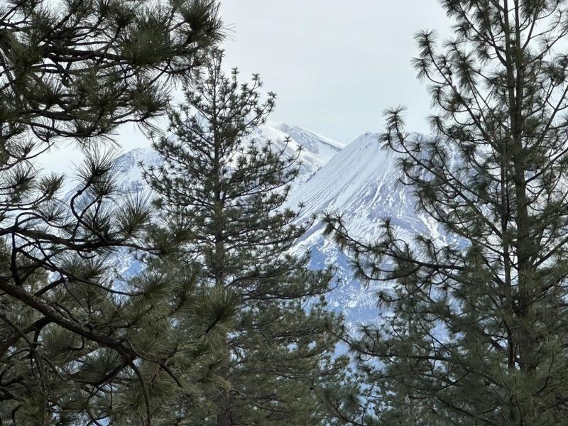 Weed, Siskiyou County, CA Homesites for sale Property ID: 418531801