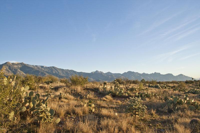 Tucson, Pinal County, AZ Homesites for sale Property ID: 418582008