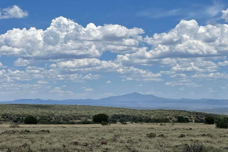 Ash Fork, Yavapai County, AZ for sale Property ID: 418649275