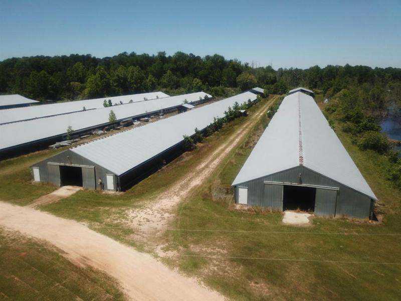 1643 MCNEILL HOBBS RD, Bunnlevel, NC 28323 Farm For Sale  MLS# 2449111