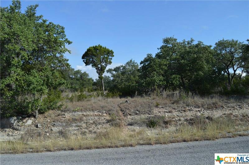 207 FLANDERS, Fischer, TX 78623 Single Family Residence For Sale  MLS# 488047