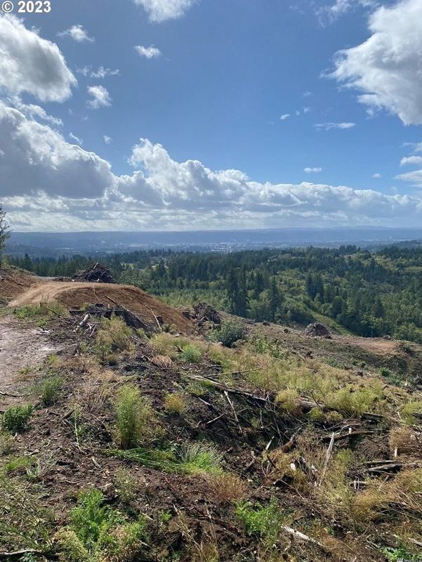 0 Brusset Rd, Kelso, WA 98626 - MLS 23264027 for Sale