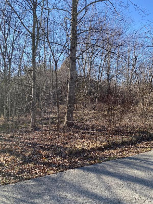 London, Laurel County, KY Farms and Ranches for sale Property ID: 415775563