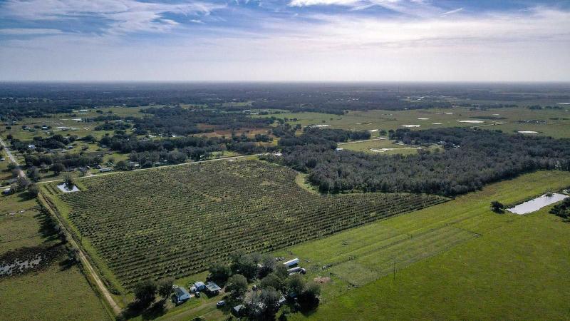 Wauchula, Hardee County, FL Farms and Ranches for sale Property ID: 418650698