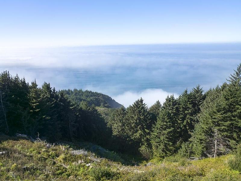 Gold Beach, Curry County, OR Farms and Ranches, Homesites for sale Property ID: 418114589