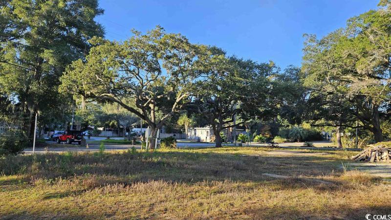300 CEDAR POINT AVE, Murrells Inlet, SC 29576 Single Family Residence For Sale  MLS# 2324827