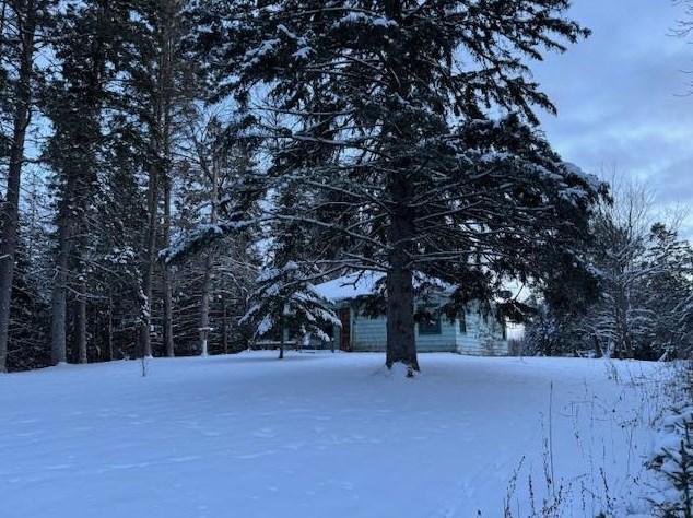 17053 Scenic Hwy NE, Blackduck, MN 56630 - MLS 6478589 for Sale