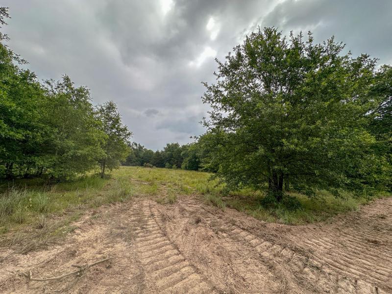Teague, Freestone County, TX Recreational Property, Hunting Property for sale Property ID: 417205695