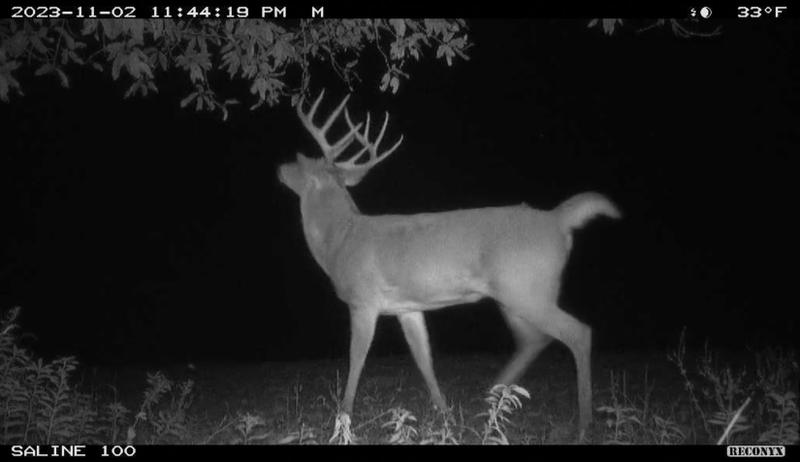 Galatia, Saline County, IL Recreational Property, Hunting Property for sale Property ID: 418142618