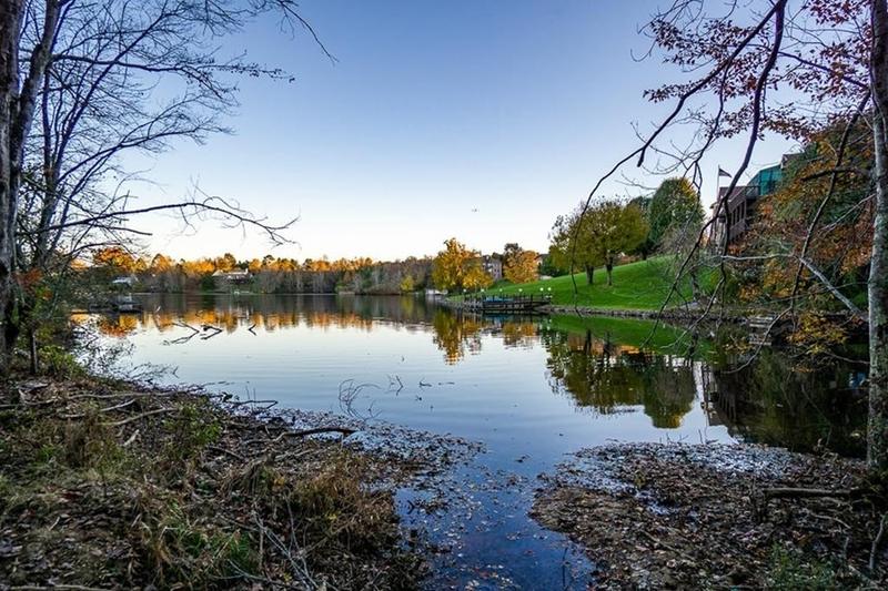 Serene Holiday Hills for Sale