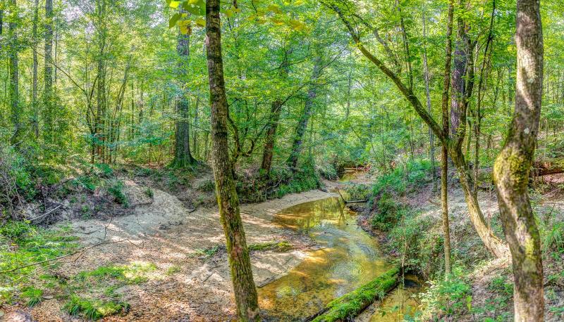 Hybart, Monroe County, AL Recreational Property, Timberland Property, Hunting Property for sale Property ID: 417679693