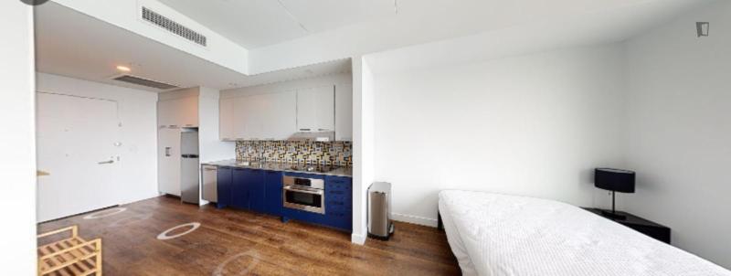 Cozy Studio in Common at Broadridge for Rent