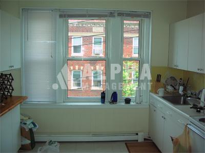 1 bedroom in Brookline MA 02445 for Rent