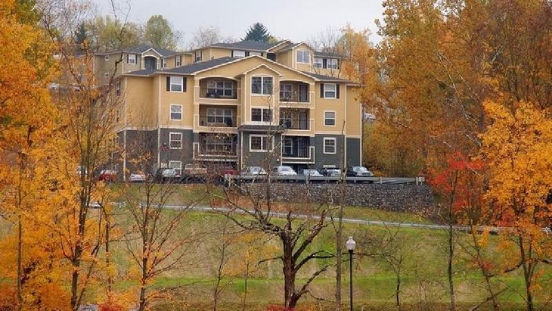 $375! 1 Bd in 2 Bd Apt. May-Aug for Rent