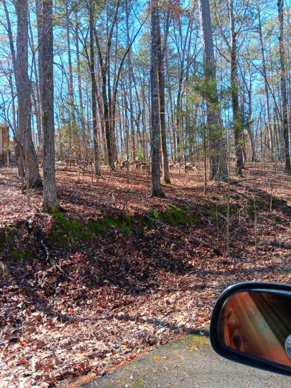 Great home to share in beautiful surrourroundi for Rent