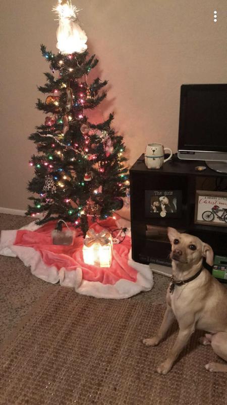 Subleaser Needed for Rent