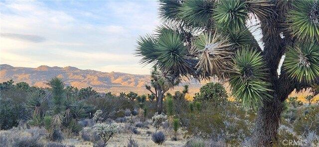 In Yucca Valley CA 92284 for Rent
