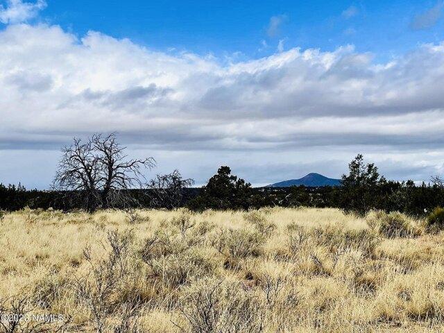 In Williams AZ 86046 for Rent