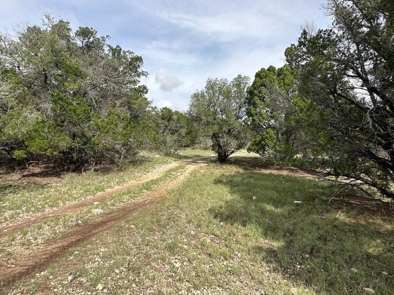 Ozona, Crockett County, TX Farms and Ranches, Recreational Property, Hunting Property for sale Property ID: 418689091