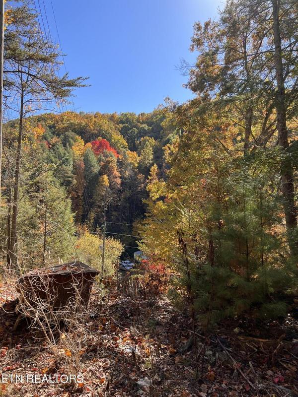 Cosby, birde County, TN Undeveloped Land for sale Property ID: 417925110