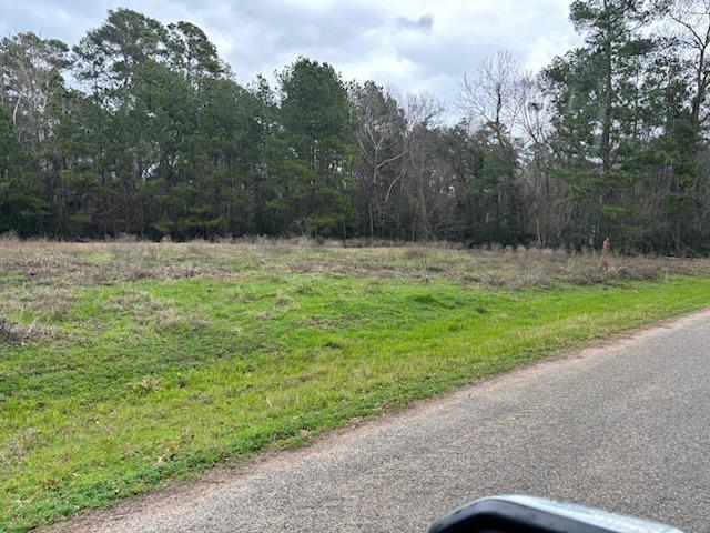 0 Lady Ellen Drive, Hockley, TX 77447 for Sale
