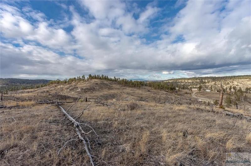 Roundup, Musselshell County, MT for sale Property ID: 418860933