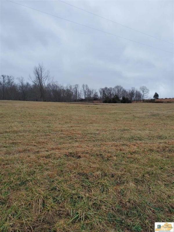 000 V COMER ROAD, Gamaliel, KY 42140 Land For Sale  MLS# RA20240693
