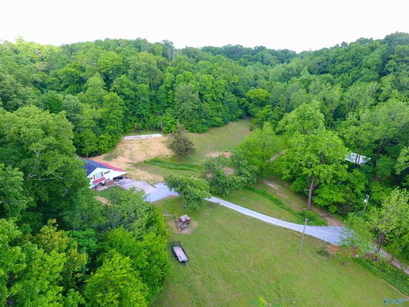 Elkmont, Limestone County, AL Undeveloped Land, Lakefront Property, Waterfront Property for sale Property ID: 418697404