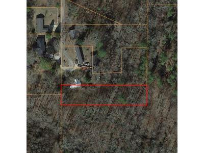 County Road 419 for Sale