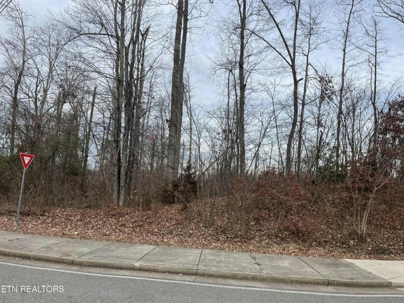 0 HENSON RD, Knoxville, TN 37921 Farm For Sale  MLS# 1248519 for Rent