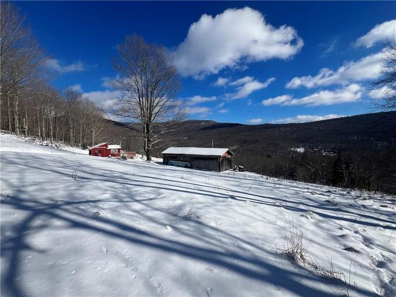 Roxbury, Delaware County, NY House for sale Property ID: 418694319