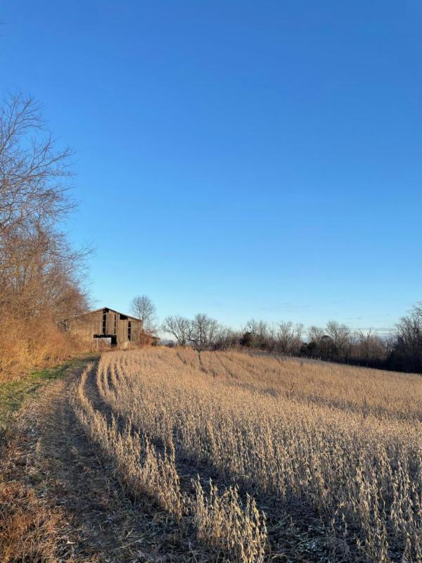 999 CLARKSON HILL ROAD, Maysville, KY 41056 Farm For Sale  MLS# 23024029