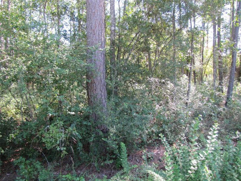 Lots 126 & 127 Meadow Wood, Magnolia, TX 77355 for Sale