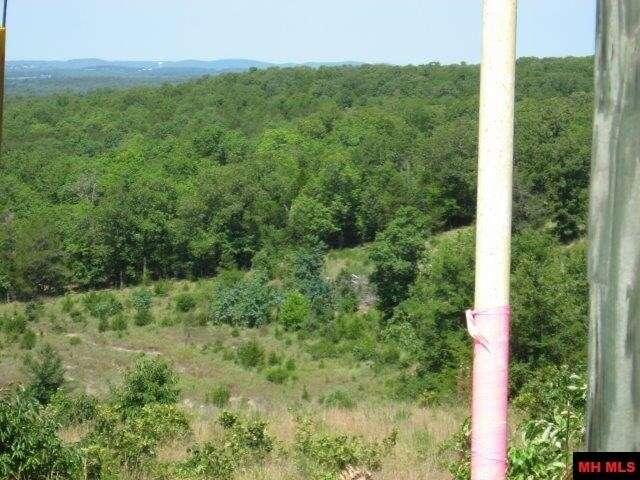 100 TERRY LANE, Lead Hill, AR 72644  624489670 for Sale