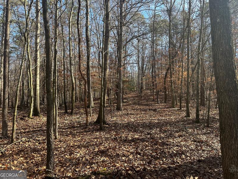 18-acres Dove Hill Road, Royston, GA 30662 for Sale